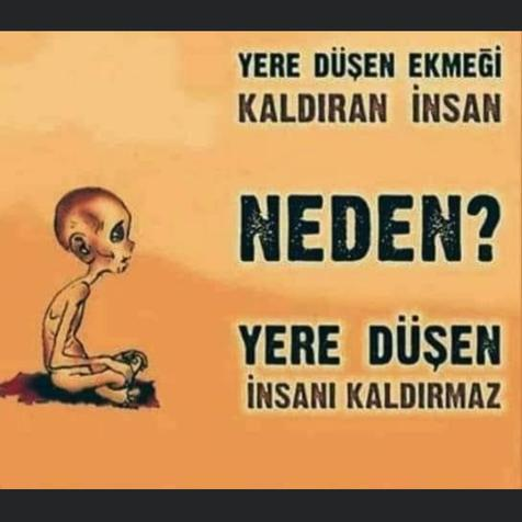 avmbalci's tweet photo. Neden? https://t.co/pA8Q6kTIlB