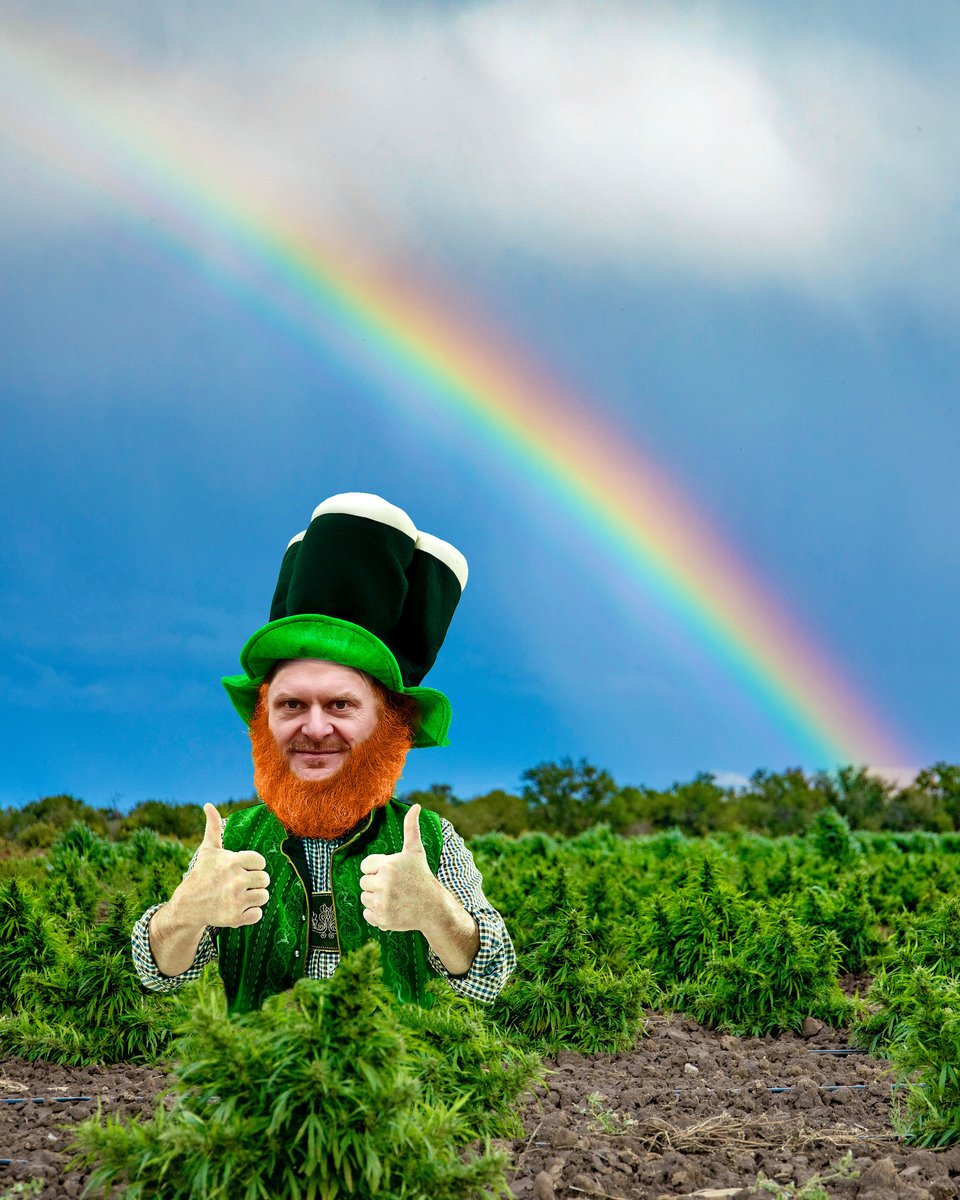 Looking for that pot o' gold today? Shamrocks are overrated 🍀 Lucky you, it's your last day to save 17% today for Floyd's CBD St. Paddy's Day sale at floydsofleadville.com.

#hempfarm
#floydsofleadville
#stpaddysday