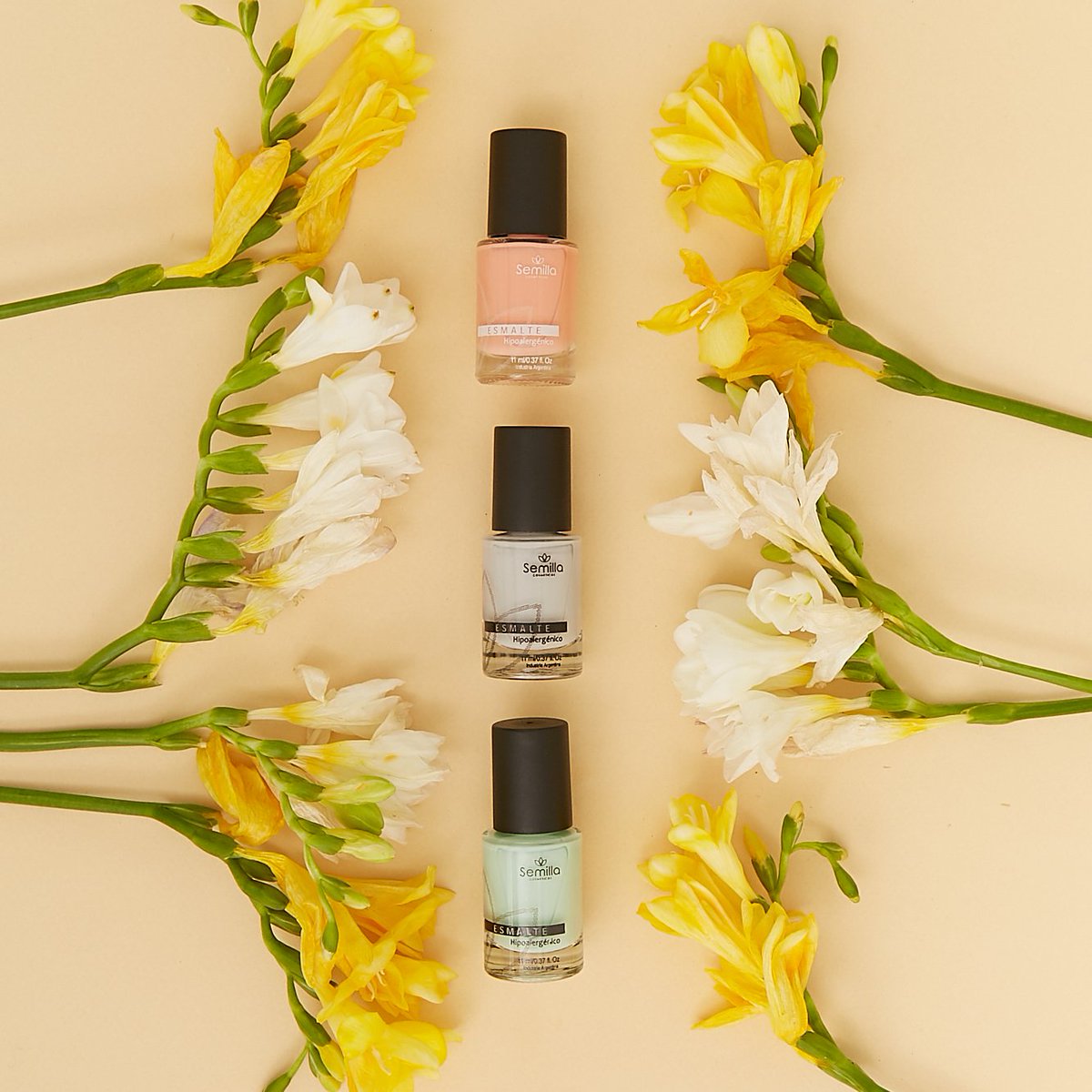Semilla_ok's tweet photo. 🌸🌼𝒞𝒪𝐿𝒪𝑅𝐸𝒮 𝒯𝒪𝒟𝒪 𝐸𝐿 𝒜Ñ𝒪🌸🌼
✨¿Te cuesta arrancar la semana? Sumale #color!
🌺¿No te decidís qué ropa ponerte? Sumale color!
✨¿Tenés que hacer un #regalo y no sabés qué? Sumale color!
🌷¿Querés alimentarte de manera sana y variada? Sumale color!
#semillacosméticos https://t.co/zBVzOGP2LW