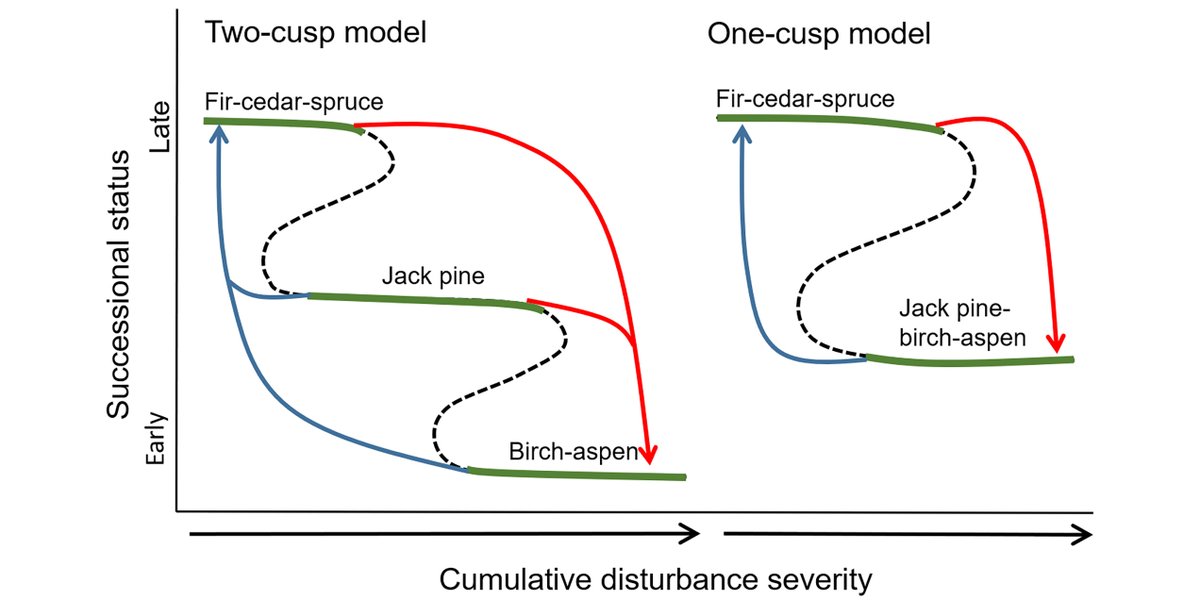 ESAEcosphere's tweet photo. From our #Macrosystems Ecology track:
New research examines how southern #BorealForest responds to single vs multiple #disturbance events
https://t.co/ndFRjz33DT
#ForestSuccession
#BoundaryWatersCanoeArea
#OpenAccess
@UMNForestRes @UWSPCNR https://t.co/EPxo1d6Byw