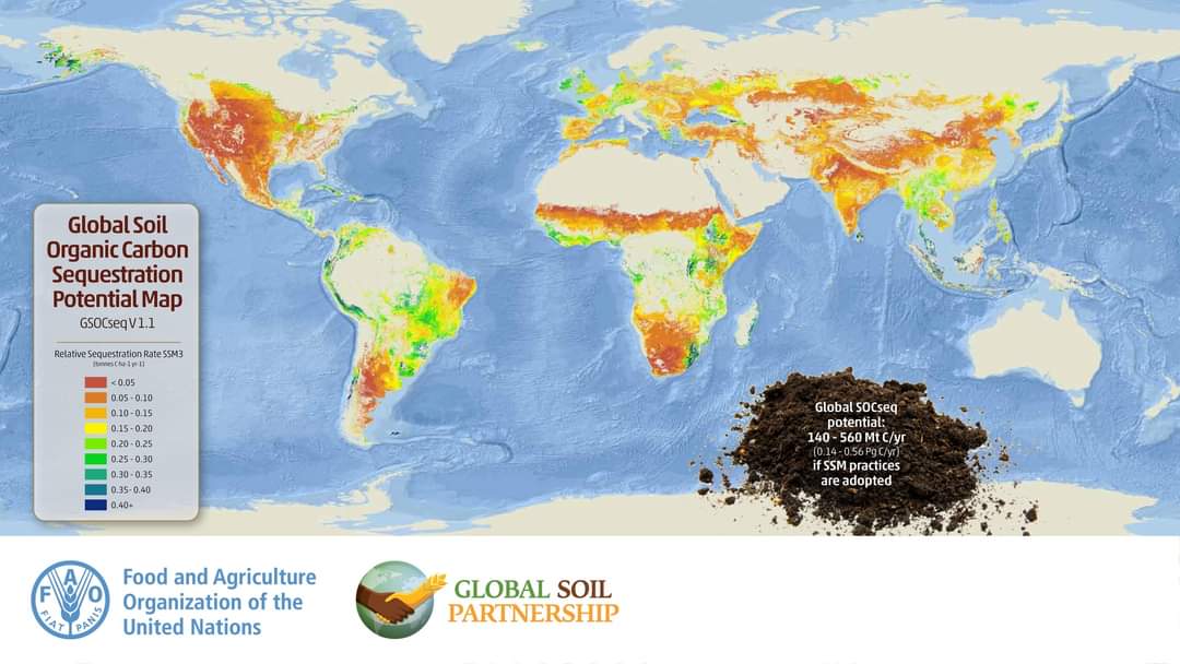 Discover this new brochure on the Global Soil Organic Carbon Sequestration Potential Map 🤎🗺

Thanks to the map submissions of FAO members, we can now identify the regions, soil types and farming systems with greater potential to increase SOC stocks ➡️ tiny.cc/m3mpuz