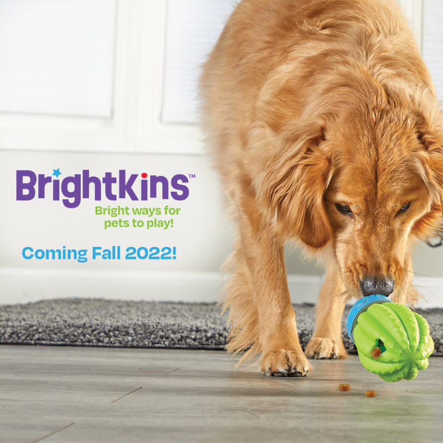 BrightkinsPets tweet picture