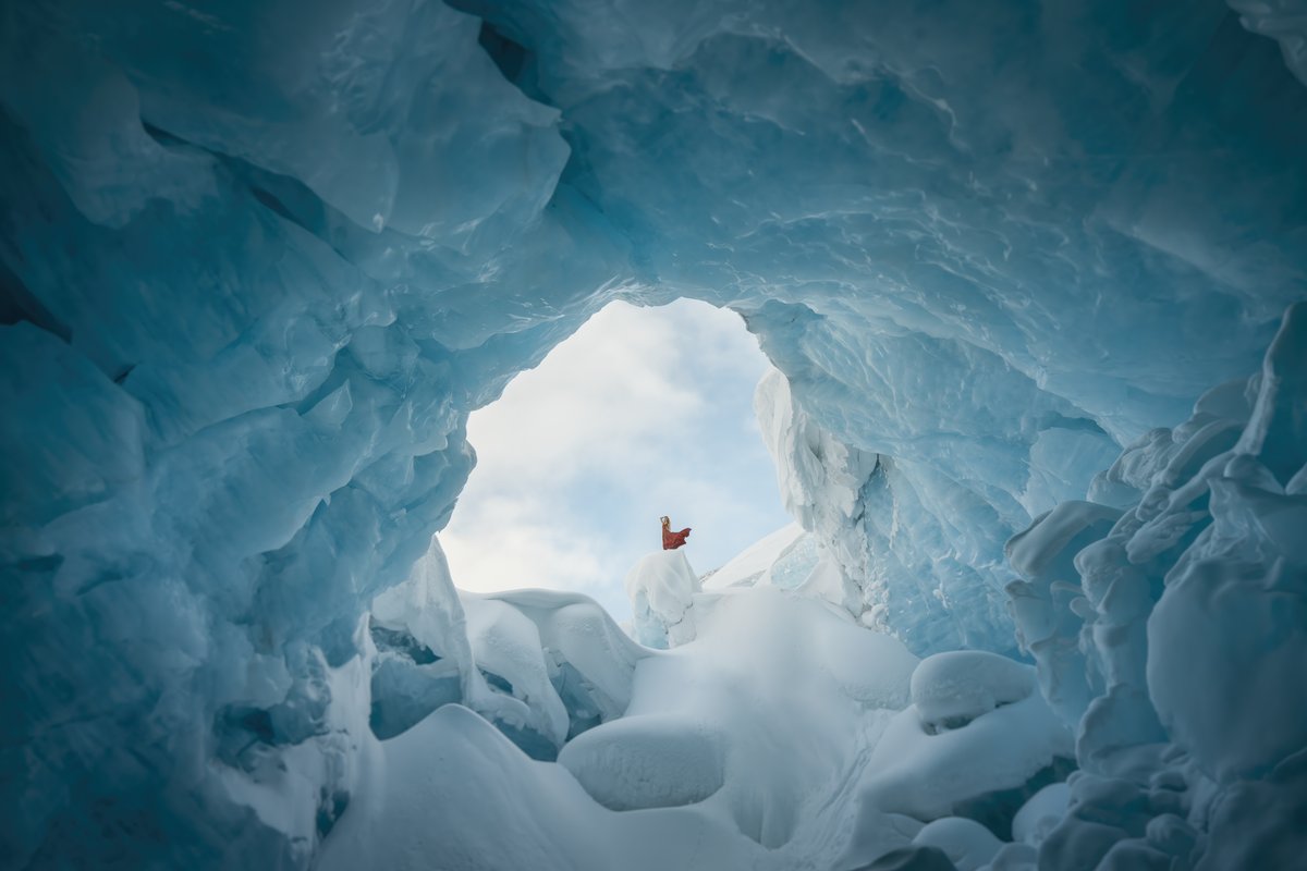 Elizabeth Gadd tweet media