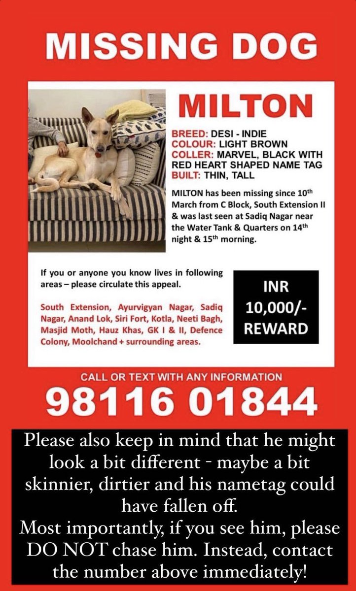 GitanjaliDas89's tweet photo. #Lostdog Milton has still not been found! #Delhi #SouthEx #SadiqNagar #AnandLok #SiriFort #HauzKhas Pls keep a lookout! Please circulate this as much as possible! https://t.co/XkpEKHASIh