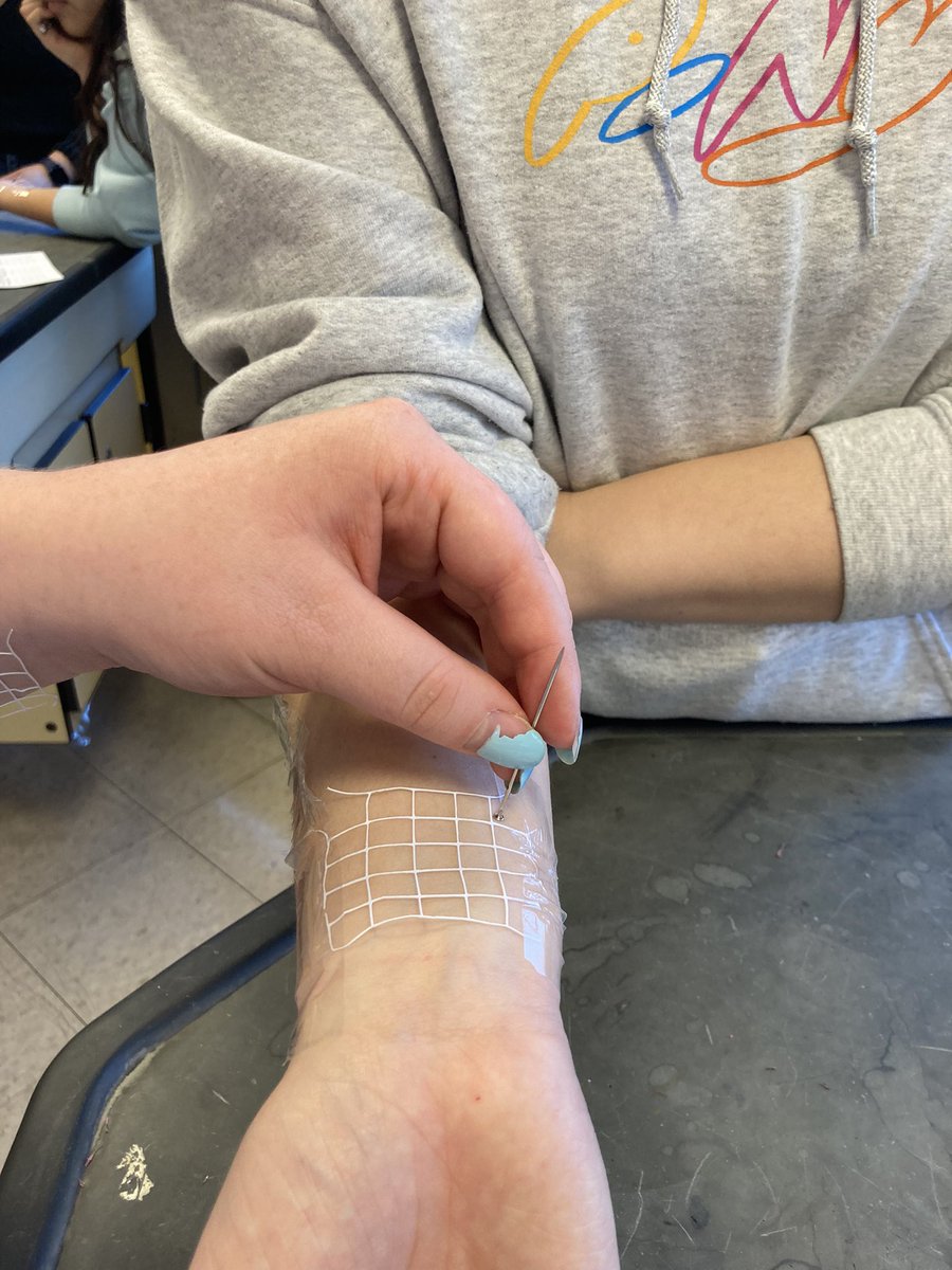 SciencebyDoyle's tweet photo. Medical terminology students testing dermal nerves and receptors. Thanks to @MorrisEdFound for their grant that helped me purchase the Cricut. Instead of drawing a grid on their arm they were able to use a cutout created with Cricut. @young_evolve @scienceonseven https://t.co/ILVg7yvaGN