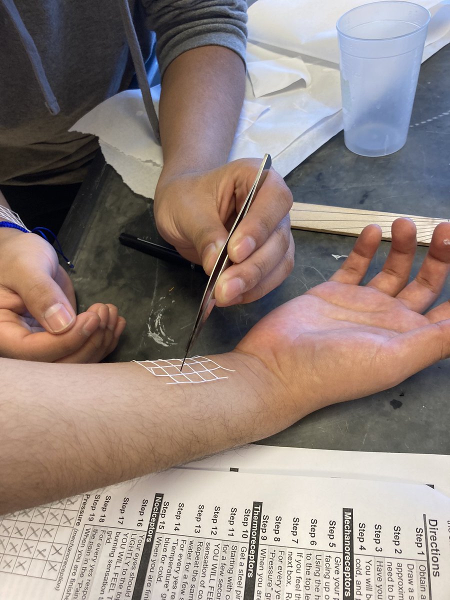 SciencebyDoyle's tweet photo. Medical terminology students testing dermal nerves and receptors. Thanks to @MorrisEdFound for their grant that helped me purchase the Cricut. Instead of drawing a grid on their arm they were able to use a cutout created with Cricut. @young_evolve @scienceonseven https://t.co/ILVg7yvaGN