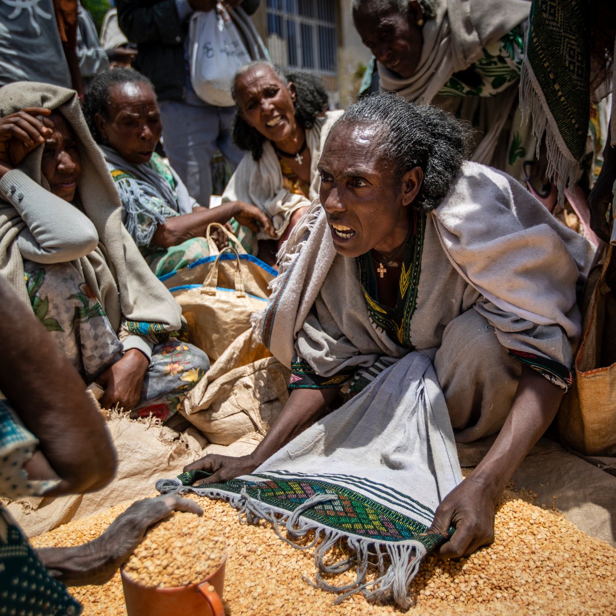ajplus's tweet photo. The WHO says "nowhere on Earth" has a bigger humanitarian crisis than Ethiopia's Tigray region, where over 80% of people face food shortages.

Researchers say up to 500,000 have died from violence or famine since the military — accused of blocking aid — began an assault in 2020. https://t.co/ePSLFAeAub