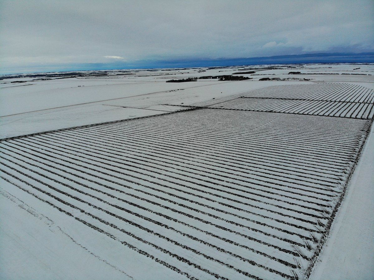 Precision Drainage Solutions tweet media