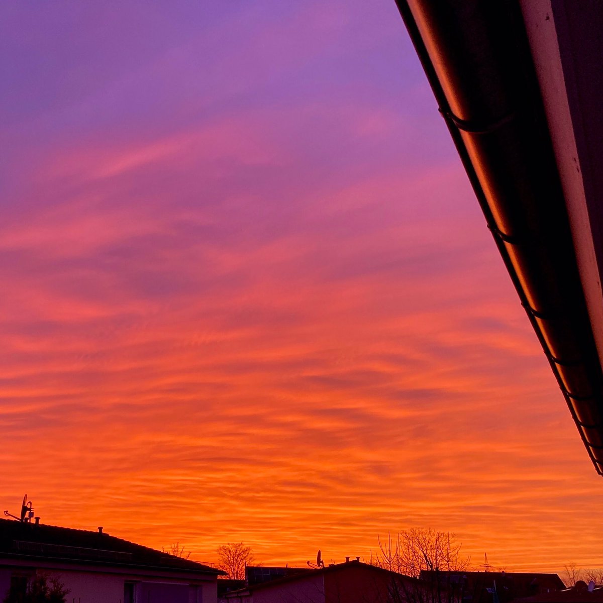 cucorama's tweet photo. Sonnenuntergang. Gerade eben…

#phototweets #mobilephotography #iPhonephotography #colourphotography #photography #nature #500px https://t.co/nGe0usSQUm