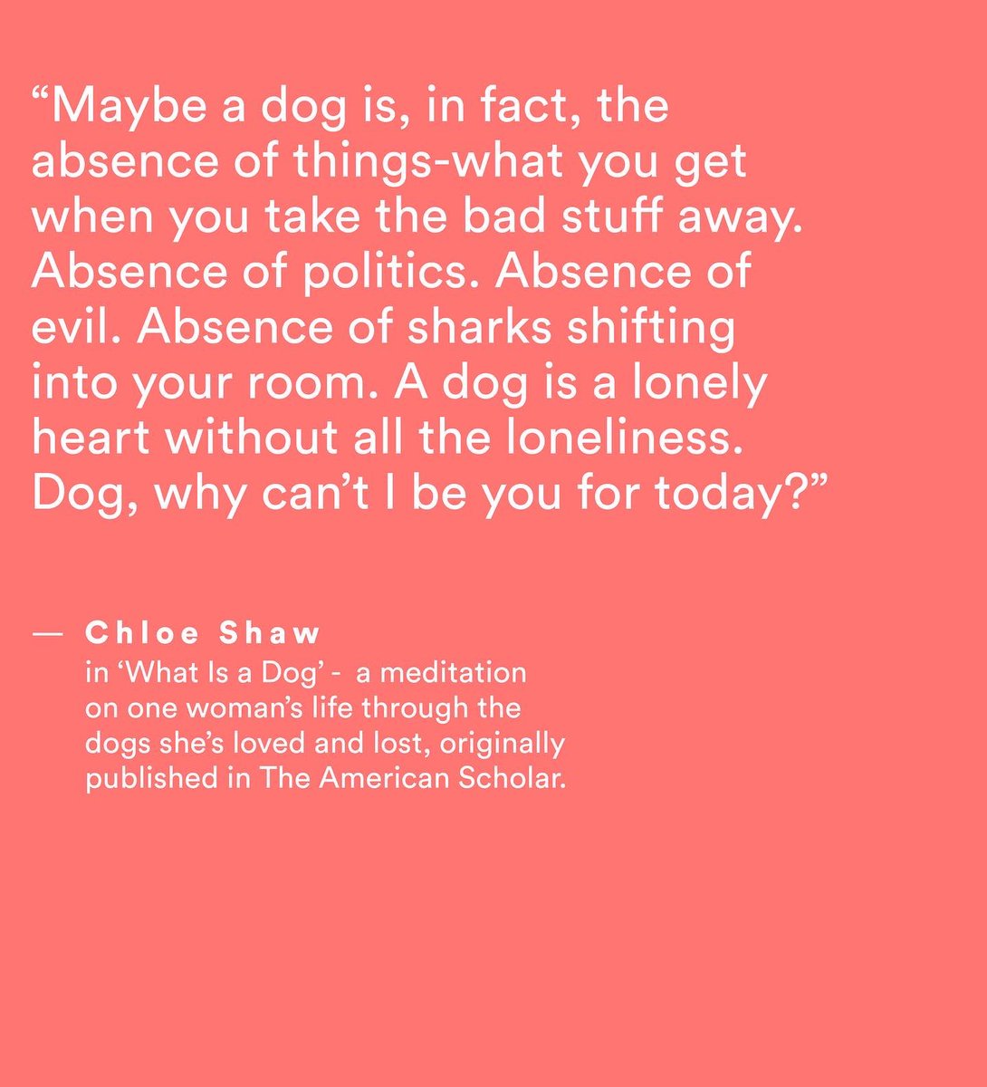 chloetshaw's tweet photo. Elated and speechless to share that Gillian Anderson (yes, THAT Gillian Anderson) featured my story (now a book) in the latest episode of her new podcast “What Do I Know?!” on @curio Thank you @GillianA I’m so honored to be part of your podcast pack! @TheAmScho @Flatironbooks https://t.co/OK8Rk0UbdT