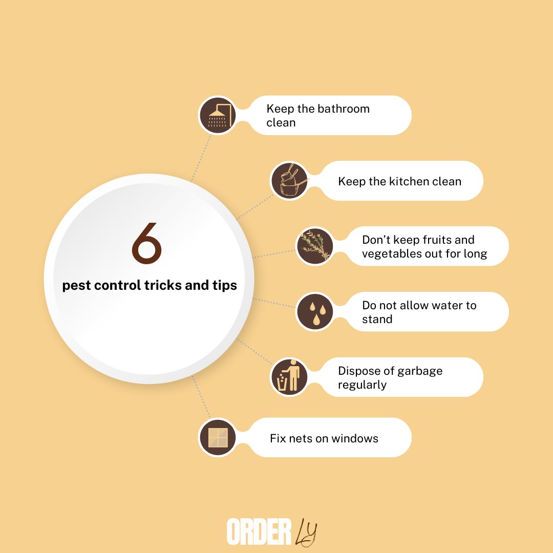 Orderlyspacesng's tweet photo. Top 6 pest control tricks and tips

Keep the bathroom clean

Keep the kitchen clean

Don’t keep fruits and vegetables out for long

Do not allow water to stand

Dispose of garbage regularly

Fix nets on windows

Send a DM or Whatsapp message to 08137367389 today https://t.co/UBmBhk3mPC