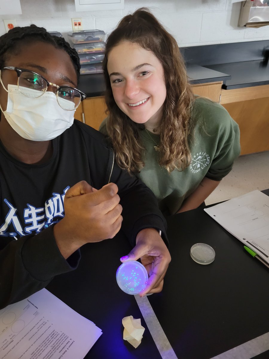 DeptScience's tweet photo. Just in time for St. Patrick's day! AP Biology students performed bacterial transformations where they grew fluorescent bacteria! 

@MeganPank @PrincipalRHS https://t.co/8NeTFQiJBM