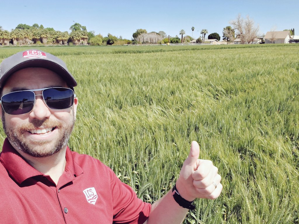 jasonreiny's tweet photo. Hello my #CanadianAg friends. 26 deg.C and sunny with a nice breeze in Yuma, AZ currently.. Might go find a deck now. How's it up north.? #cheeky #gettingatan https://t.co/mqJQI6err0
