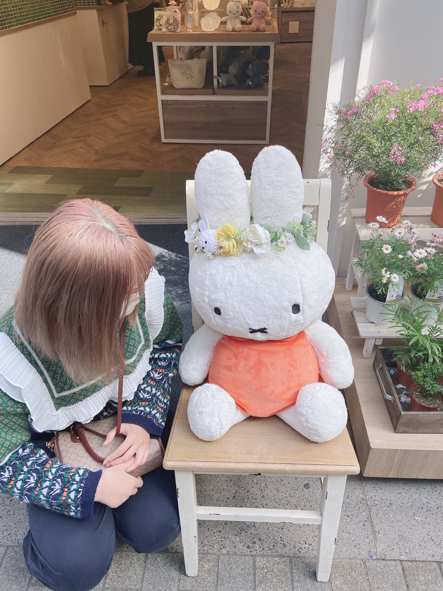 turtle_san66's tweet photo. 人間の推しともこのくらいの距離で話せたらなあ。たぶんしぬけど。 https://t.co/BcXvSk4Mo7