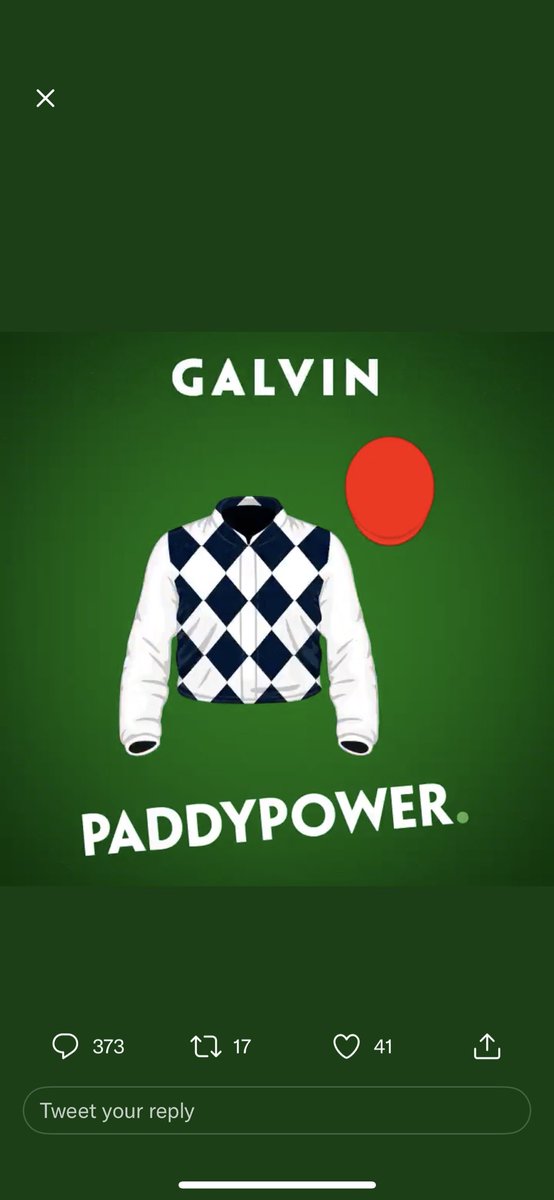 DorganAlan's tweet photo. @paddypower #PPGoldCup https://t.co/LtltjYxaTd