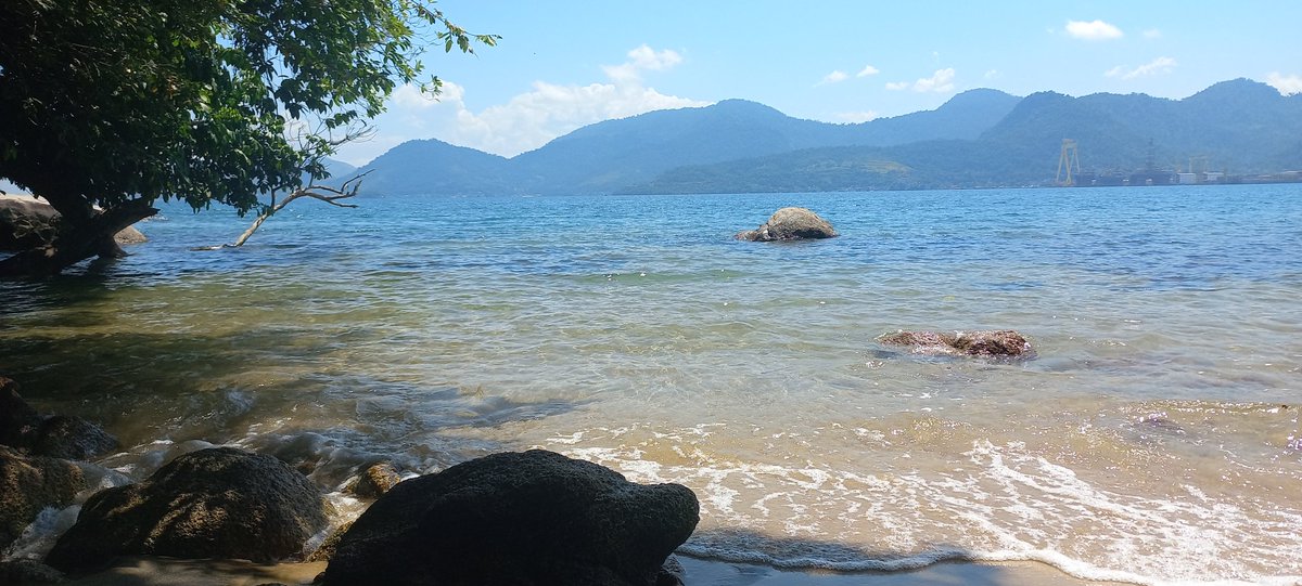 Ju_profe's tweet photo. O tamanho da tartaruga!!! Marido me trouxe p passar férias no paraíso q ele trabalha #angra #mtorgulho https://t.co/bwsVO7N8EV