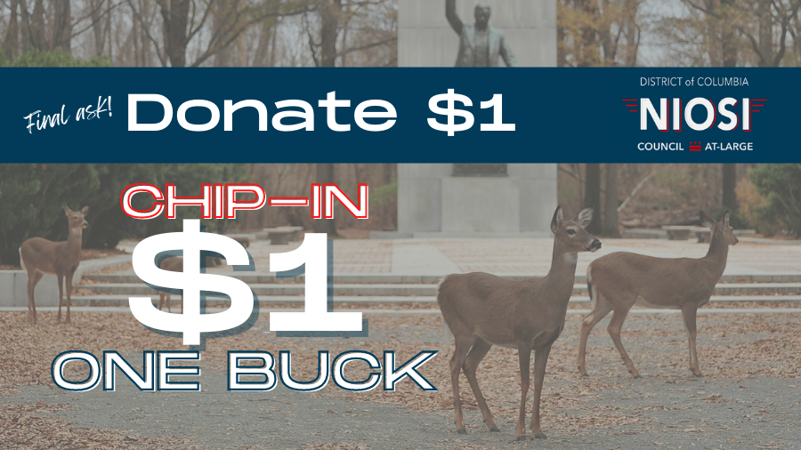 niosi2022's tweet photo. We have to submit our filings, and we want to tell DC we have the support, and all it takes is ONE BUCK. We want to count you as a supporter, can you add your name with $1? https://t.co/mCuptJLPMJ #DC #washingtondc #localelections #supportlocalcandidates #WeAreDC #NiosiForDC https://t.co/j5k92xvtCH