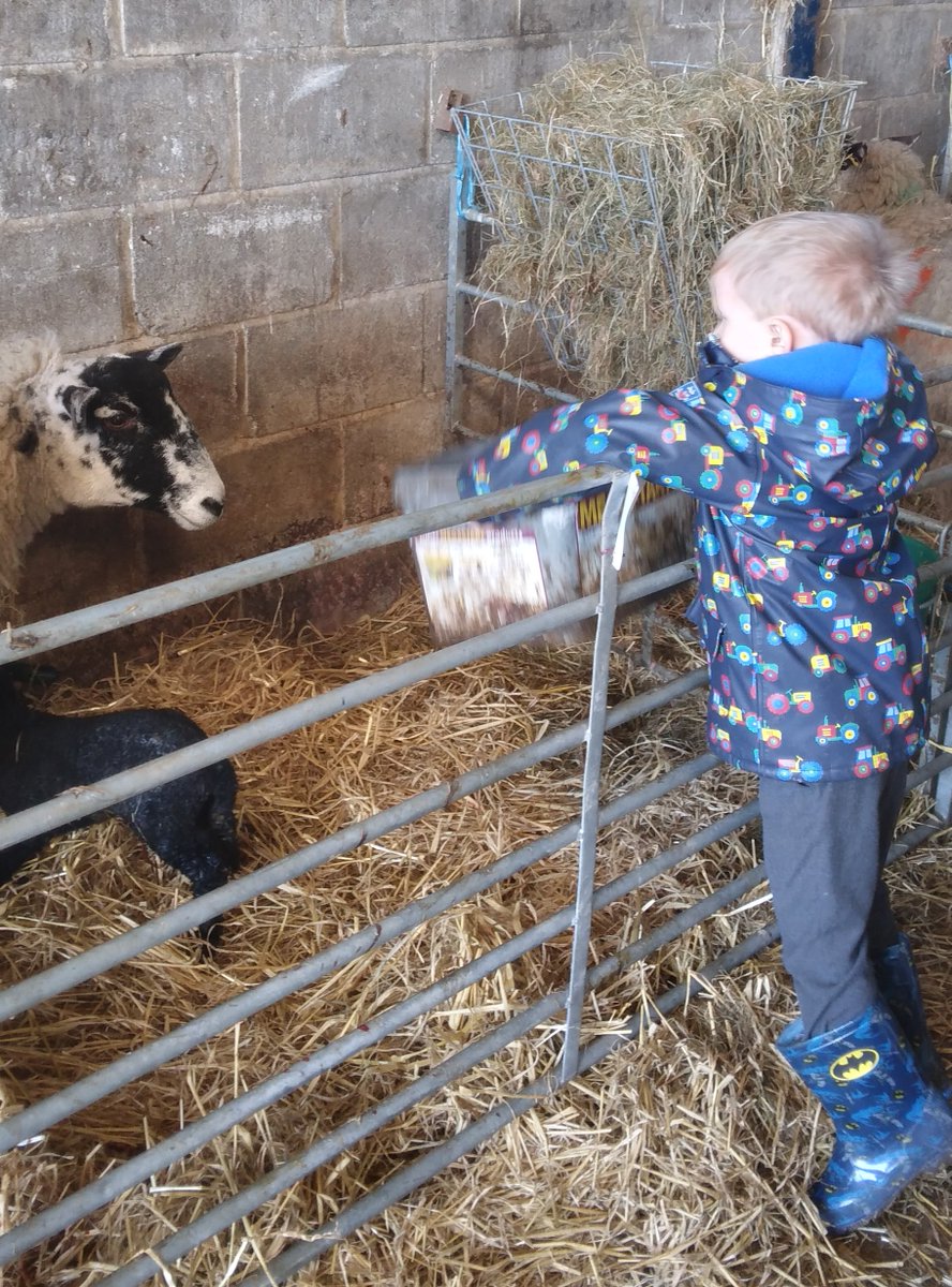 Boyle & Petyt tweet media