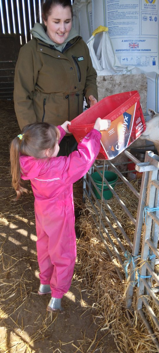 Boyle & Petyt tweet media