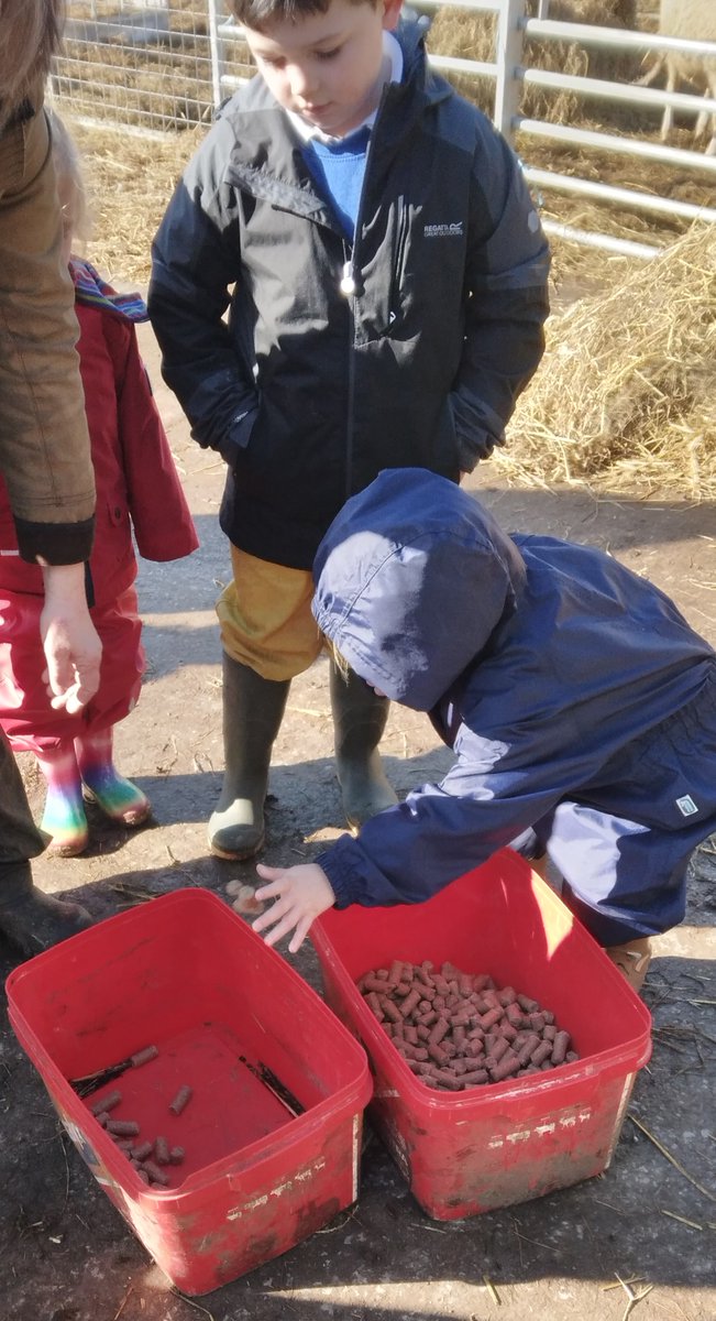 Boyle & Petyt tweet media