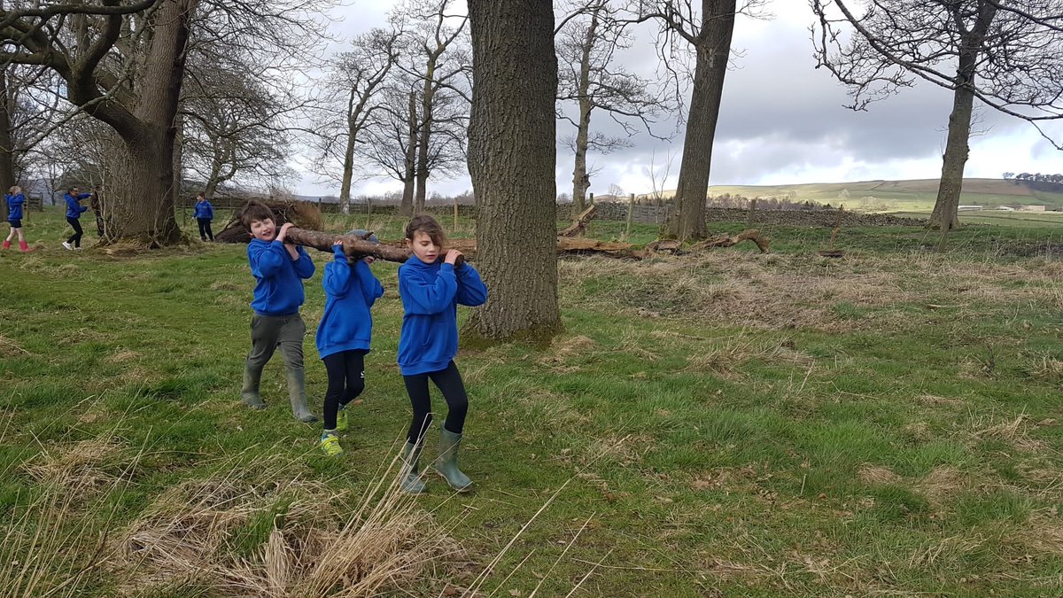 Boyle & Petyt tweet media