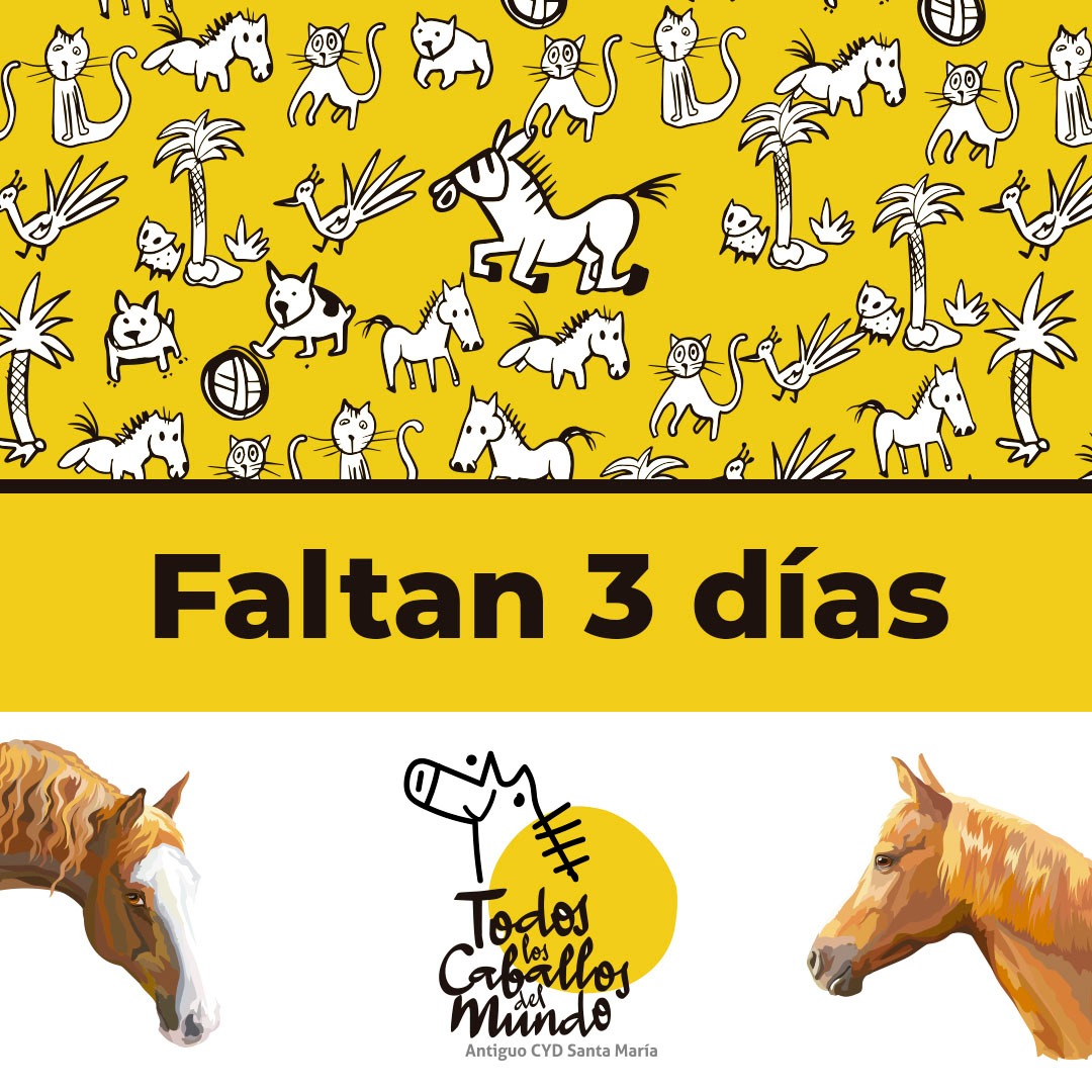 ProtectoraTlCdM's tweet photo. Ya queda menos para desvelar la sorpresa que tenemos preparada para el primer aniversario de nuestra nueva imagen. Estad muy atentos este domingo 20 de marzo 🐎🙊 https://t.co/gUS4vdVY2f