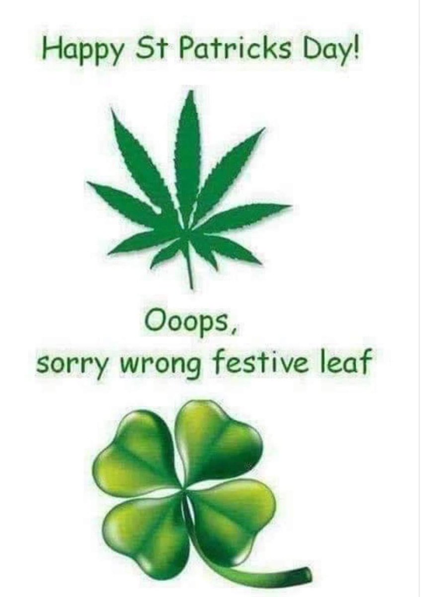 TreezEmerald's tweet image. #HappyStPatricksDay 
#EmeraldTreez