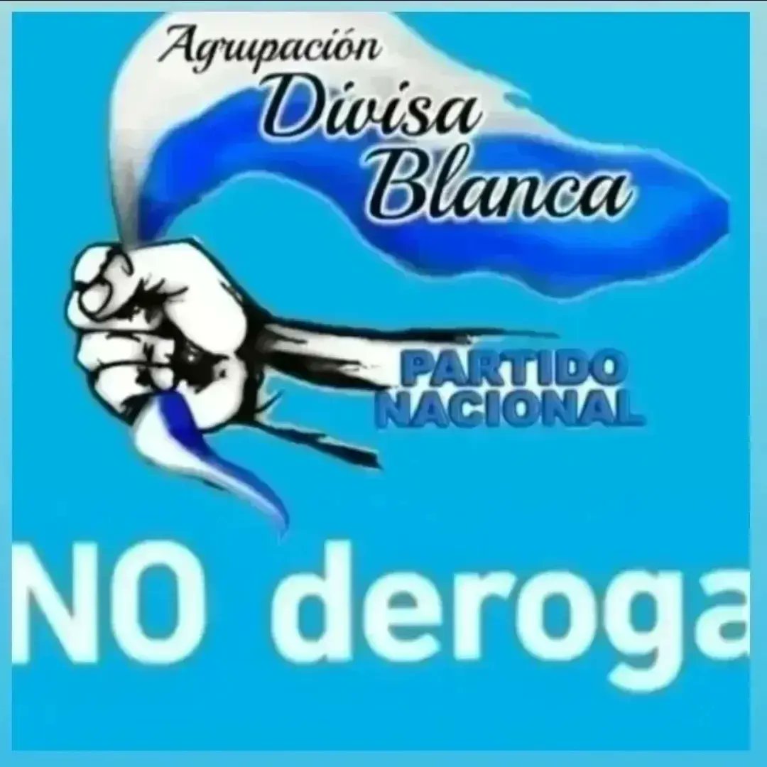 SF_lore83's tweet photo. Ag. Divisa Blanca Línea Nacional informando a la ciudadanía sobre la LUC, una ley justa, popular y que garantiza derechos.

@ESPACIOCUARENTA @PNACIONAL 
#VotáNOderogar https://t.co/8mmlXGwaWu