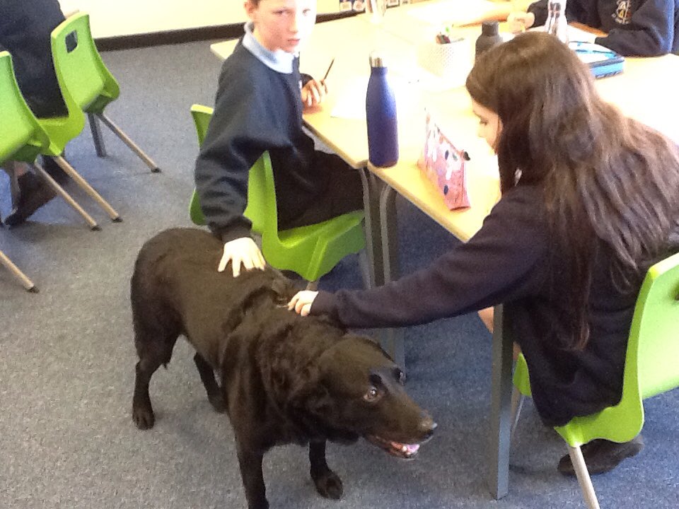 Class10JR1's tweet photo. Another lovely afternoon with Poppy. @StAnnesOrmskirk https://t.co/XQmPHSIWgX