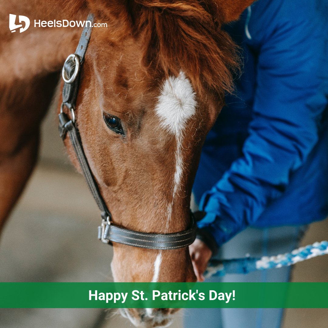 HeelsDownApp's tweet photo. Happy St. Patrick's Day! 💚🍀🐴🍀💚 https://t.co/IL3mSKZ5n2