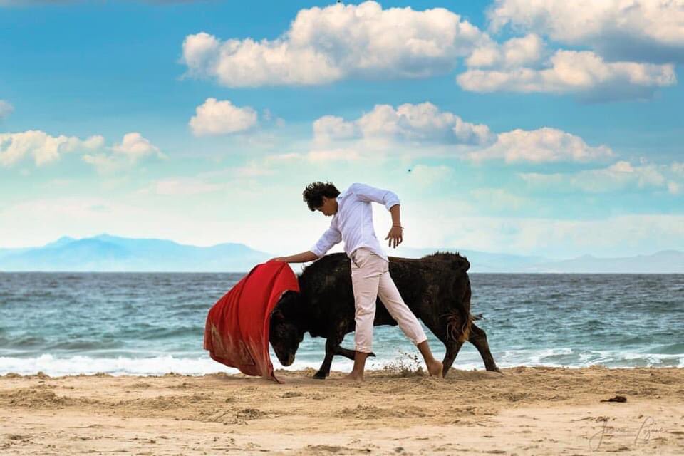 TendidoOnze's tweet photo. #Tarifa 🇪🇸 | Extraordinarias fotos de @RocaRey y un novillo de La Palmosilla en las playas de Tarifa.

📸 @joserralozano https://t.co/QyVs2Oqw4S