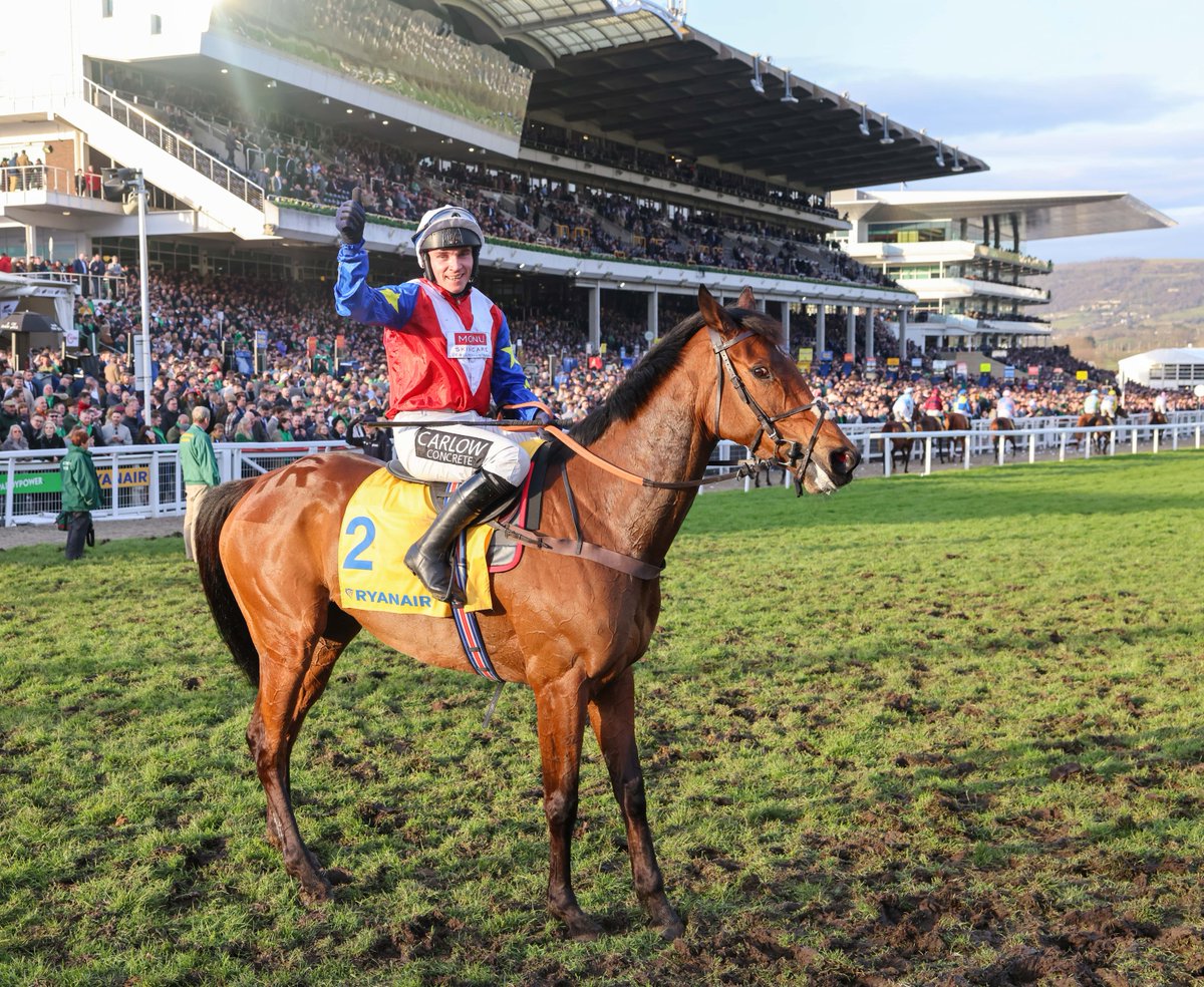 A star was born at Cheltenham today ⭐️

Remember the name, Love Envoi ❤️