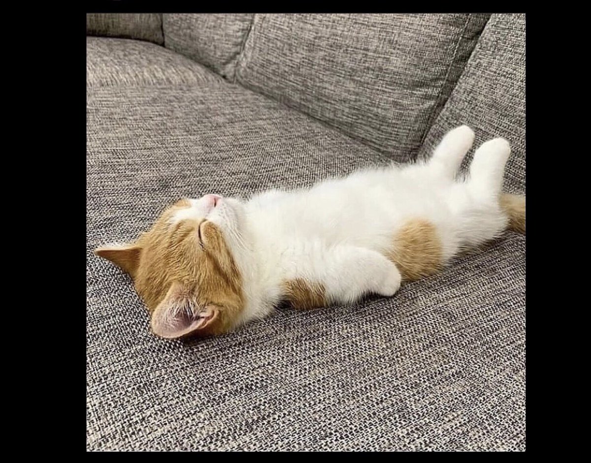 donnicoley's tweet photo. My favorite yoga pose…namaste’ https://t.co/I29oXCDV13