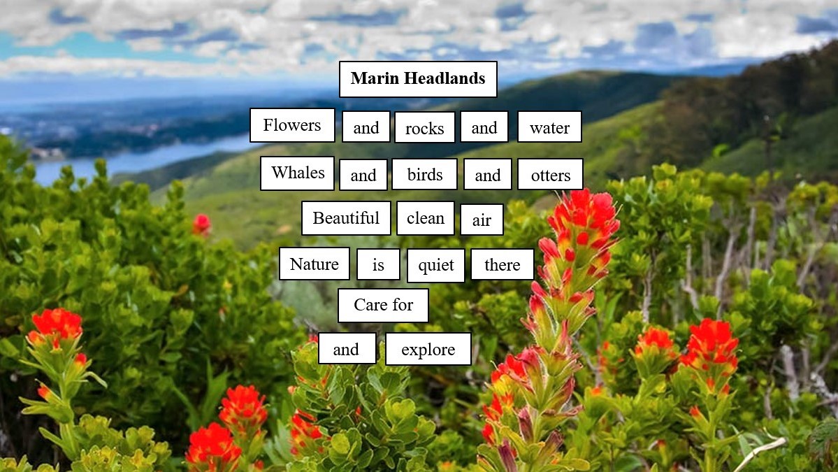 GoldenGateNPS's tweet photo. Celebrate World Poetry Day with your National Parks!
Nature is wonderful inspiration for writing poetry. At the Marin Headlands Visitor Center, you can craft your own poem, as well as learn a little more about arts in the park.
#WorldPoetryDay #ArtsinParks
๐ท NPS/D. Atmore https://t.co/r5GU1PJXsV