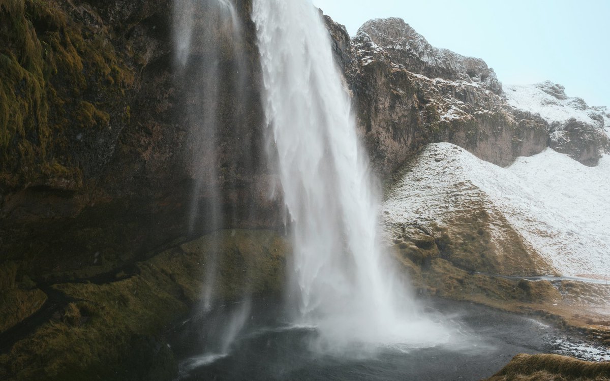 Morgan Phillips tweet media