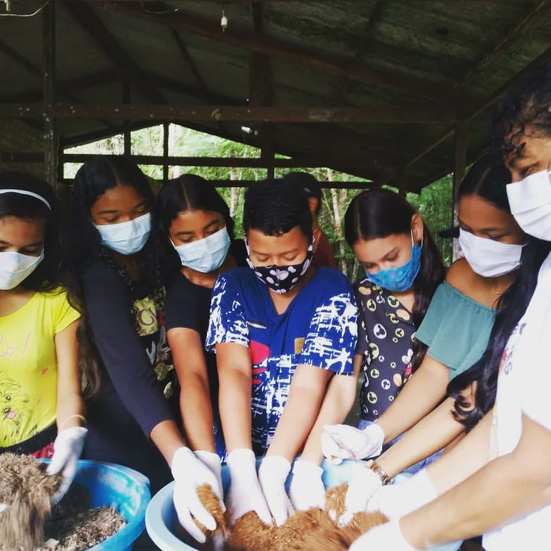 fundodema's tweet photo. Sábado (12), crianças e adolescentes de Cotijuba participaram de oficina de plantio de mudas florestais, frutíferas e hortaliças, realizada pelo Movimento das Mulheres das Ilhas de Belém (MMIB). A atividade integra o projeto Sementes - Artivismo Ambiental, apoiado pelo Fundo Dema https://t.co/1FkNyUFaoJ