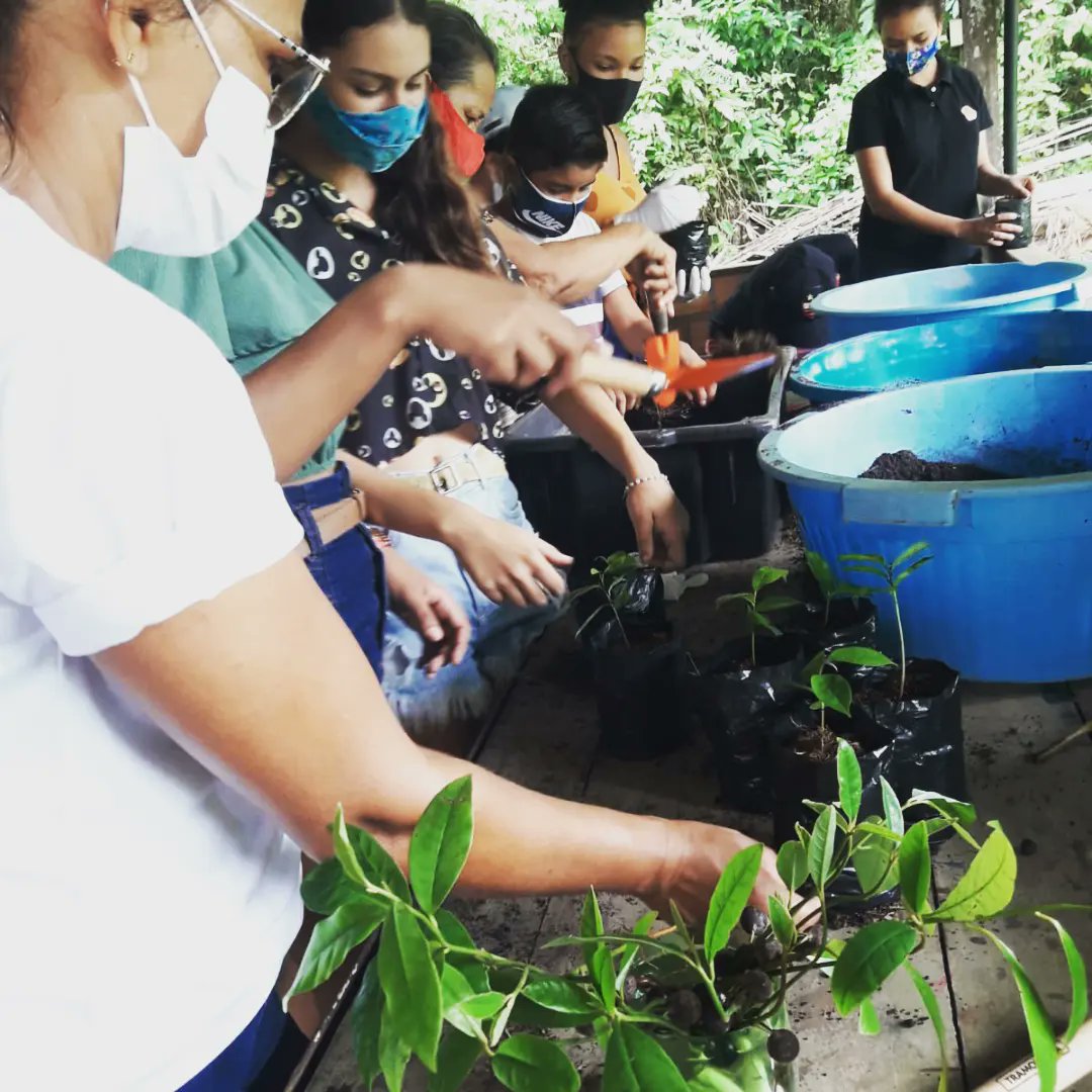 fundodema's tweet photo. Sábado (12), crianças e adolescentes de Cotijuba participaram de oficina de plantio de mudas florestais, frutíferas e hortaliças, realizada pelo Movimento das Mulheres das Ilhas de Belém (MMIB). A atividade integra o projeto Sementes - Artivismo Ambiental, apoiado pelo Fundo Dema https://t.co/1FkNyUFaoJ