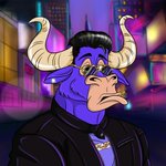 Photo by BullsPad | BBulls DAO (@BullsNear)