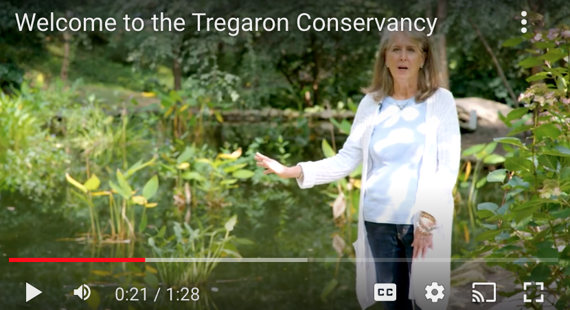 Tregaron Conservancy tweet media
