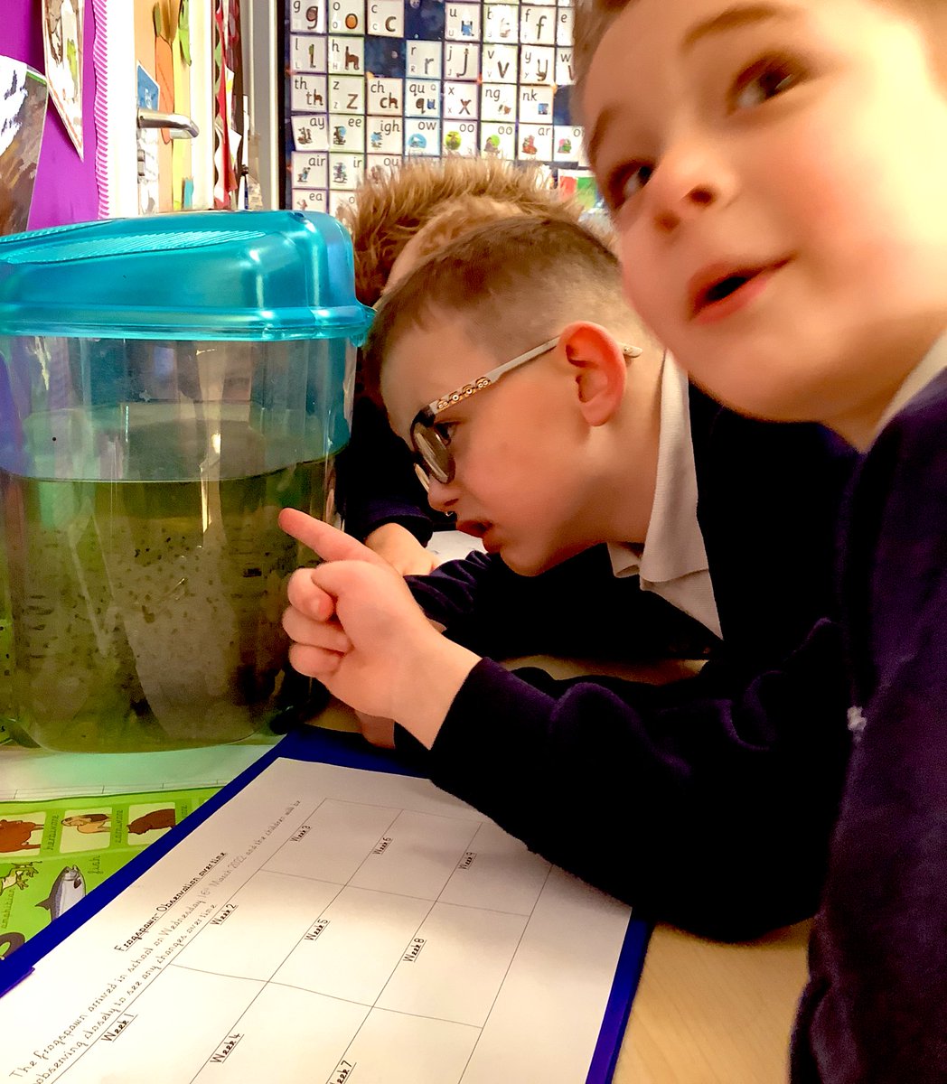 Miss Dodgson SMCA tweet media