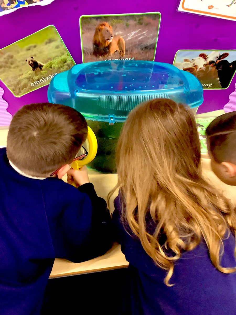 Miss Dodgson SMCA tweet media