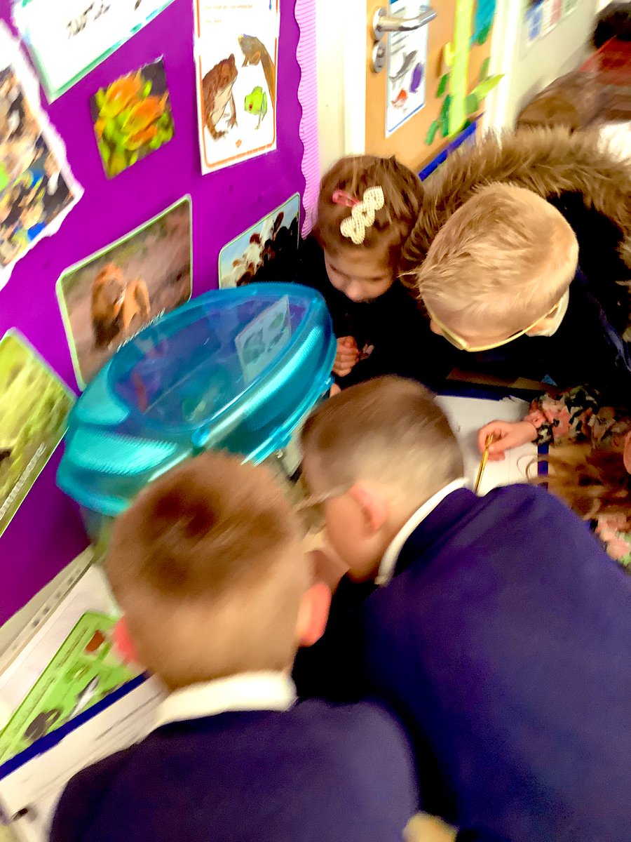 Miss Dodgson SMCA tweet media