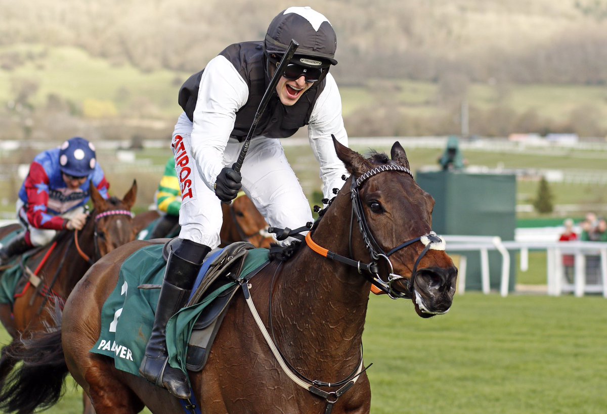 Ballincurrig House Stud on Twitter "A 13 for Ballincurrig and