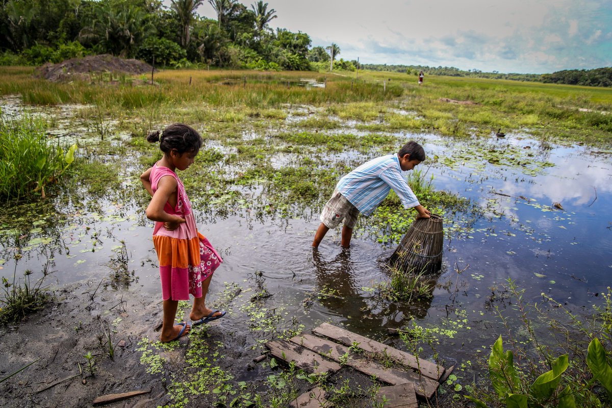 UNDP's tweet photo. Our future, and that of the planet, depends on placing nature at the heart of sustainable development.

With @unepwcmc and partners, see how we build capacity for the use of spatial data and maps to inform action #ForNature and development: https://t.co/op2NcJUAbZ

#COP15 https://t.co/V6we9dOaNR
