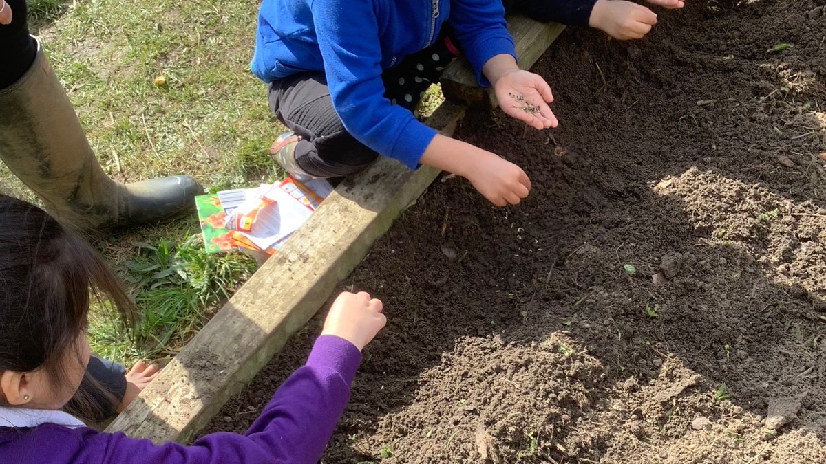 Woodvale Primary Academy tweet media