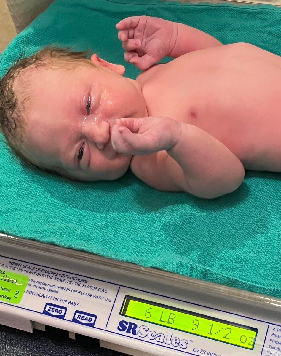 Alex Moffitt (Soldier_1stClass) tweet media