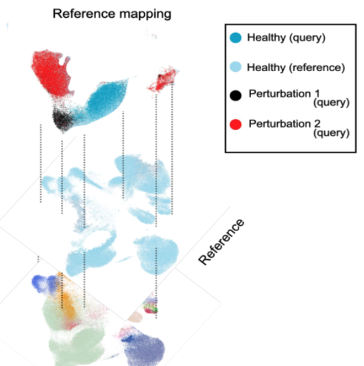 Mo Lotfollahi tweet media