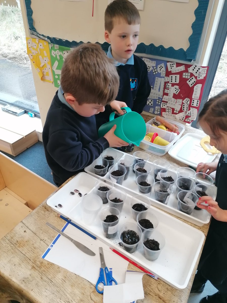 After really enjoying the story Jack and the Beanstalk last week, we decided to see if we could grow our own beanstalks <a href="/SimpsonPrimary/">Simpson Primary</a> #BSW22 <a href="/ReadSps/">SPSLovestoRead</a>