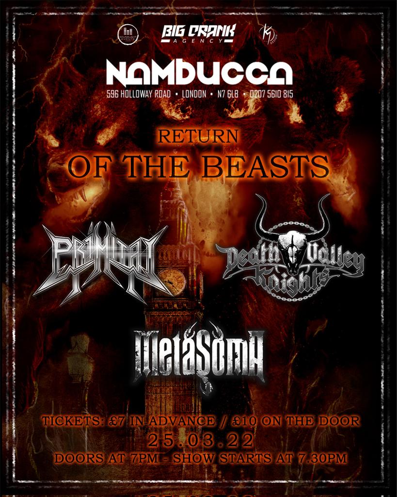 Metasoma tweet media