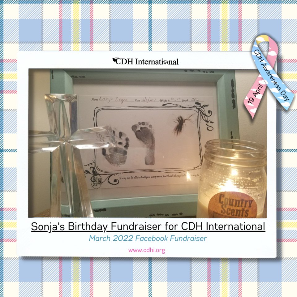 cdhintl's tweet photo. Sonja's birthday Fundraiser in memory of Lakyn

Read more at https://t.co/VCGLBbrXA3

Donate at https://t.co/YElVd4guFQ

#cdhawareness #cdhi #cdhintl #cdhinternational #cdhresearch #cdhsupport #patientadvocacy #cdhcharity #cdhsupportgroup #cdhsupportcharity #cdhhelp https://t.co/Hr2LF5KmqO